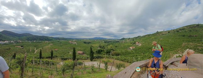 View of Colesel vineyard