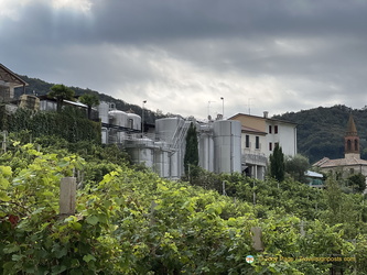 Santo Stefano winery