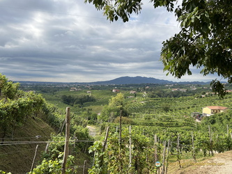 View of Santo Stefano