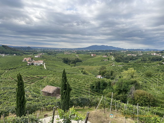 Beautiful terraced vineyards