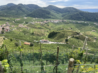 Rolling hills of Valdobbiadene