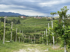 Santo Stefano view