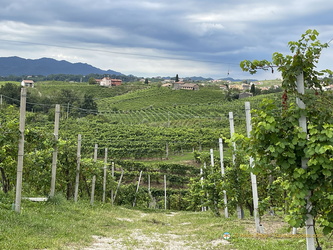 View of Santo Stefano