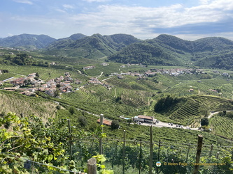Cartizze vineyards