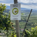 Vigneto Cartizze
