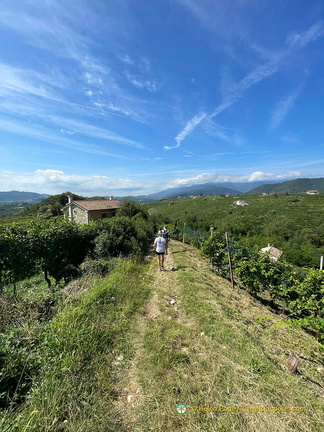 GROQ2542-watermarked (629 visits) GROQ2542-watermarked