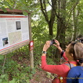 Information board