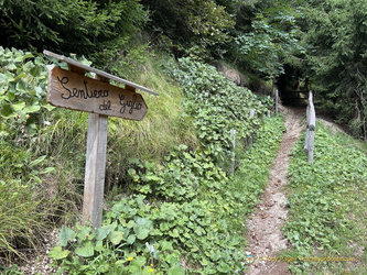 Signpost for Sentiero del Giglio