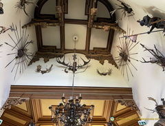 Miramare Castle Interior decoration