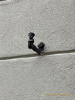 Window shutter holder