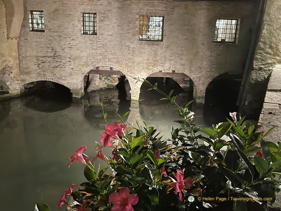 IMG 8266-watermarked (721 visits) IMG 8266-watermarked