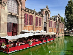 IMG 8375-watermarked