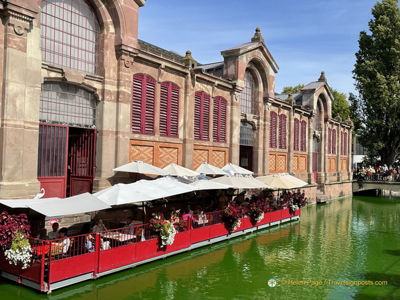 IMG 8375-watermarked