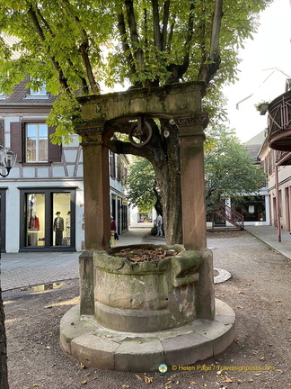 IMG 8480-watermarked