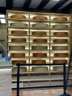 IMG 8481-watermarked