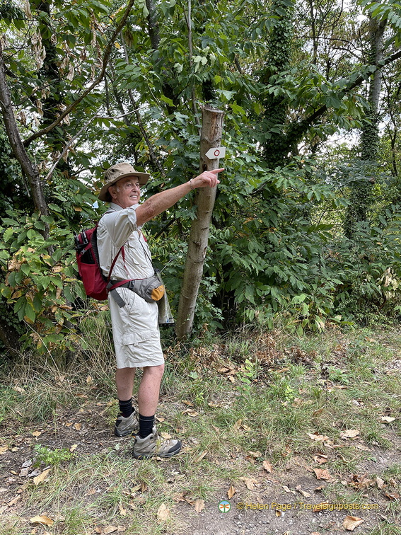 IMG 0398-watermarked1