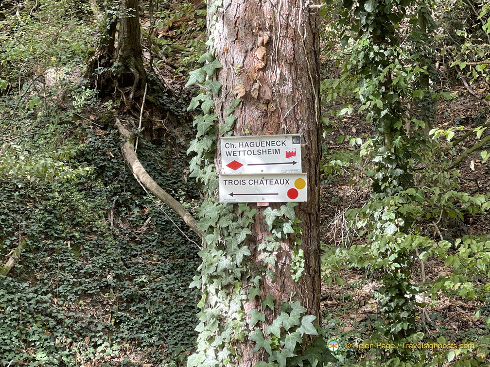 IMG 0401-watermarked1