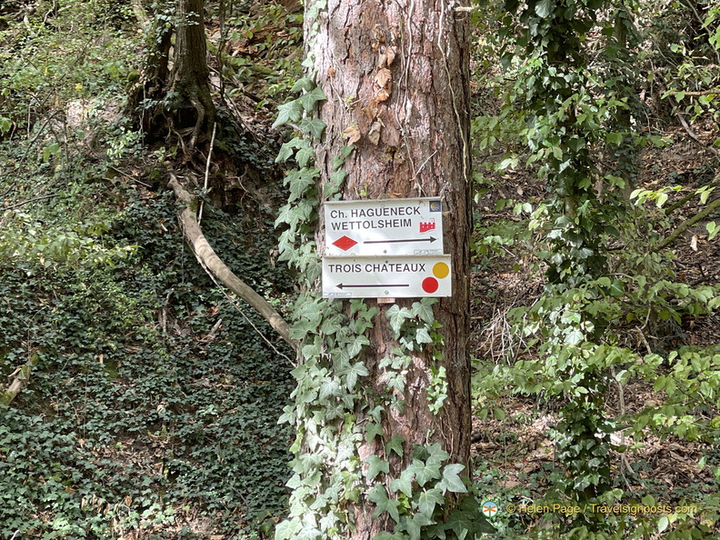 IMG 0401-watermarked1