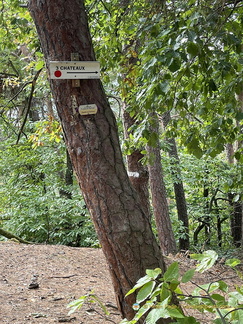 IMG 0407-watermarked1