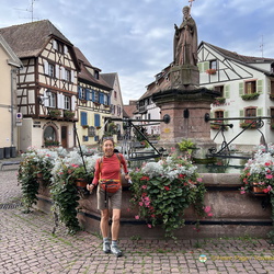 Castles, Vines and Forests of Alsace