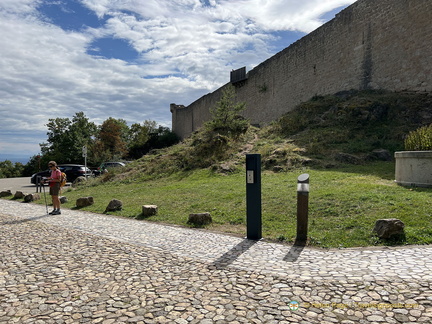 IMG 0400-watermarked