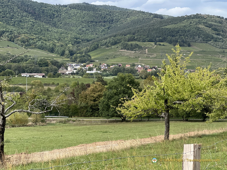 IMG 0408-watermarked