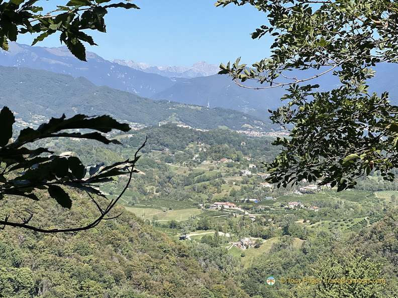 IMG 0323-watermarked