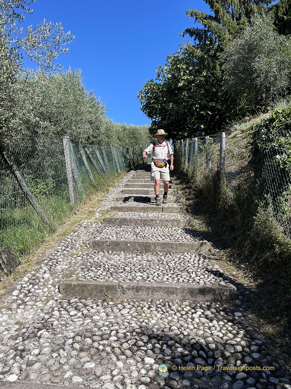 IMG 0379-watermarked