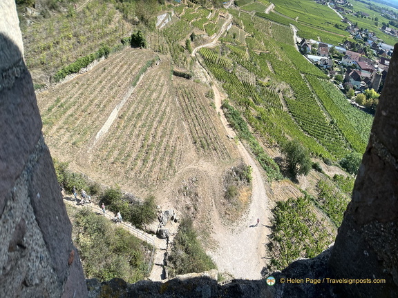 IMG 5811-watermarked (просмотров: 846) IMG 5811-watermarked