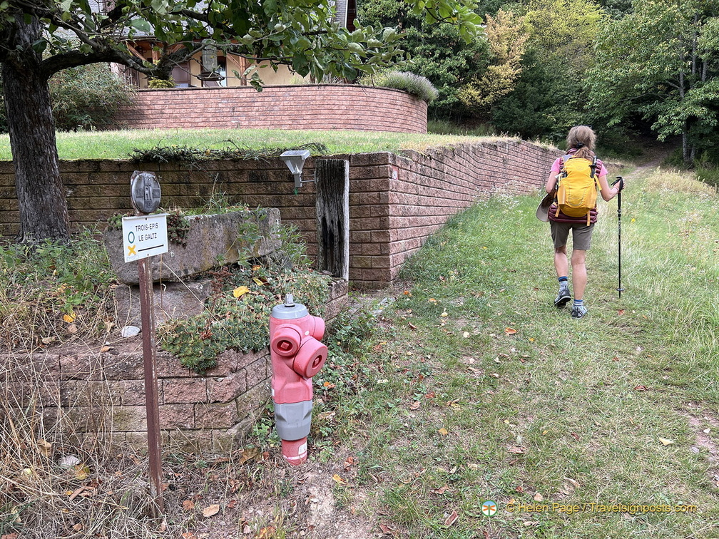 IMG 0459-watermarked