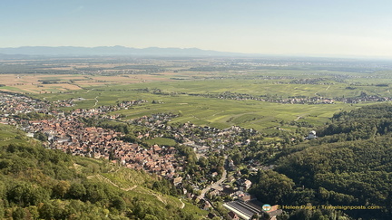 IMG 0528-watermarked 133