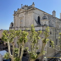 Isle-sur-le-Sorgue IMG 1165-watermarked