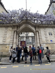 Bordeaux IMG 3281-watermarked