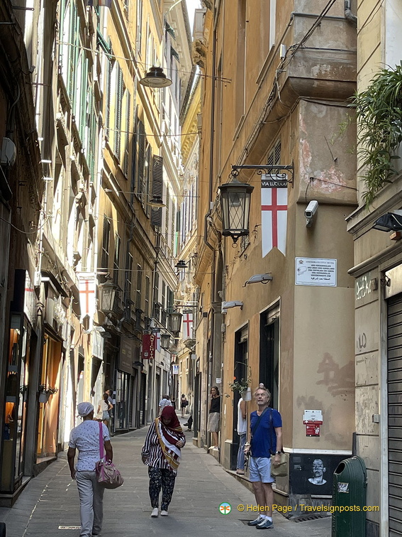 IMG 3121-watermarked