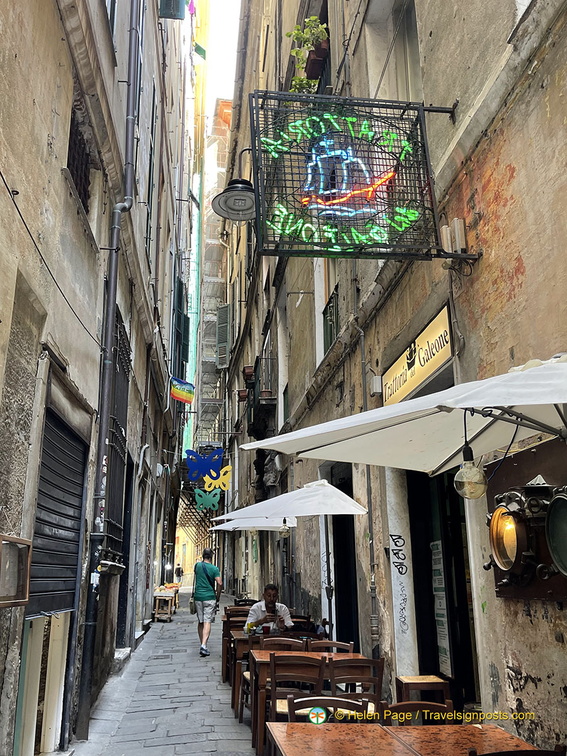 IMG 3230-watermarked