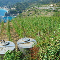 Vernazza-Monterosso AJP 5683-watermarked (800 visits) Vernazza-Monterosso AJP 5683-watermarked