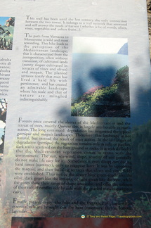 Vernazza-Monterosso DSC 8566-watermarked