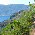 Vernazza-Monterosso DSC 8584-watermarked (774 visits) Vernazza-Monterosso DSC 8584-watermarked