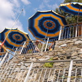 Riomaggiore DSC 8214-watermarked (549 visitas) Riomaggiore DSC 8214-watermarked