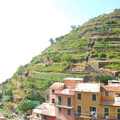 Manarola AJP 5211-watermarked