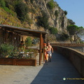 Manarola_AJP_5300-watermarked.jpg