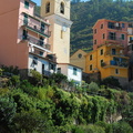 Manarola_DSC_8291-watermarked.jpg
