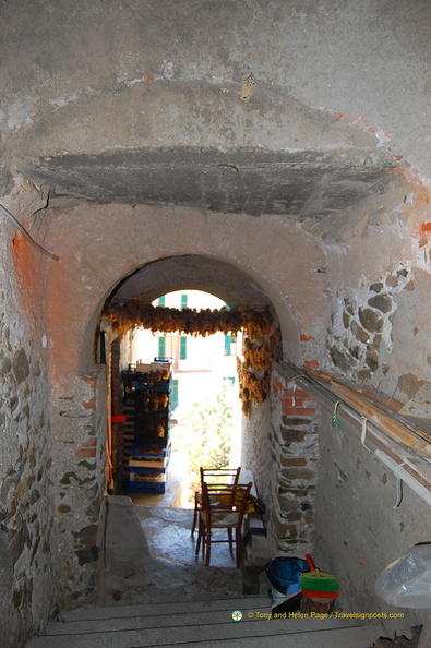 Manarola DSC 8296-watermarked