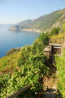 Manarola coastline
