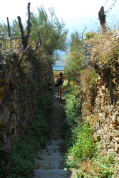 Manarola coastal path