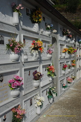 Neat walls of graves