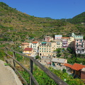 Manarola AJP 5251-watermarked