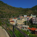 Manarola AJP 5252-watermarked