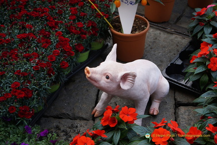 Milan DSC08569-watermarked