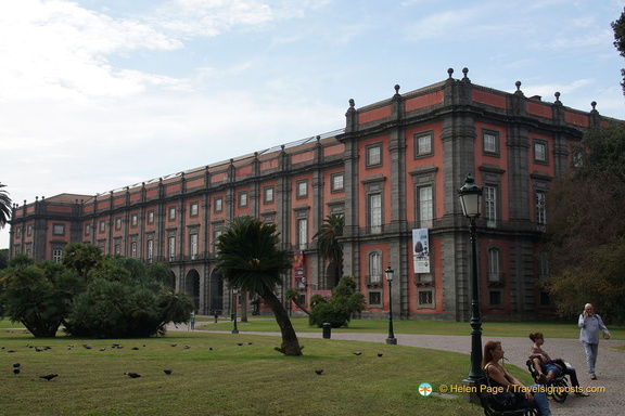 DSC00600-watermarked